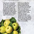 Antevisão Folheto PINGO DOCE Promoções a partir de 21 abril  p2.jpg